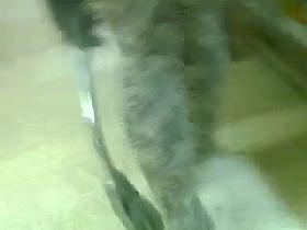 teen leggins perfect ass boooty