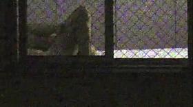 Window Voyeur 67 of 1000