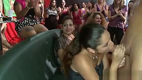 Party sluts cocksucking stripper dicks