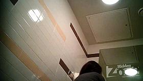 Hidden Zone Gals toilets hidden cams nineteen