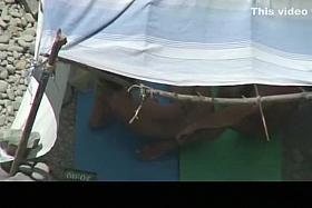 Nudist couple caught fucking under tent