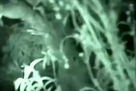 Horny couple caught during night