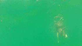 Gostosa com bucetinha do lado de fora