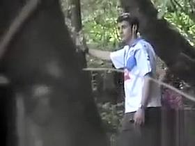 Doggystyle copulation in the public park