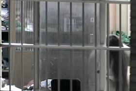 Mostrandome lo que tiene