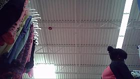 two nice black asses in store