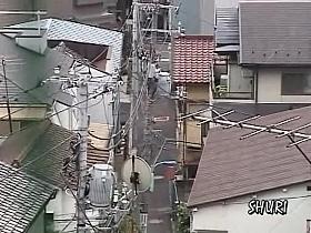 Almost bird's eye view voyeur made this sharking shuri video