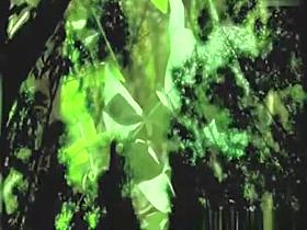 Hooker fucked in the woods