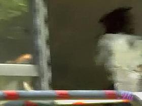 Public sharking affair with some truly admiring young tart