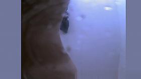 Hidden Amateur, Spy Cam, Voyeur Clip Show