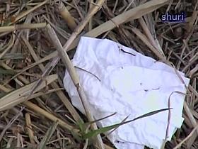 Disgusting Japanese hoe takes shit and pees in the open