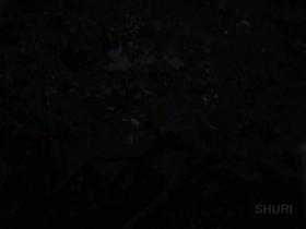 Affectionate sexy vixen getting pulled into wicked sharking odyssey