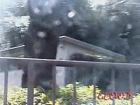 College girl went to a public bathroom and got sharked video