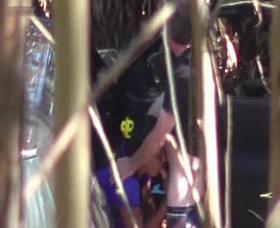 Hidden Cam - Woods 17