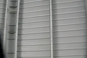 Farmers Market Series(hot pink panties)