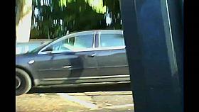 Wolter's Downblouse Bitch 334