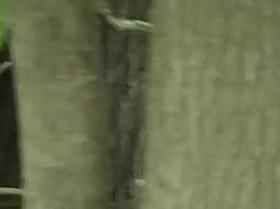 Peeping tom captures a horny couple