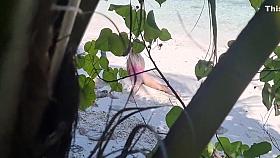 Sex On The Beach - Amateur Nudist Voyeur