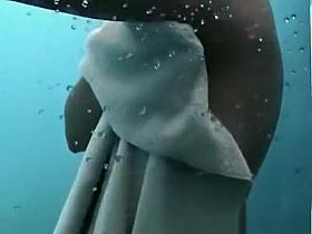 Girl hot red body in shower