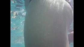 Big Mix Of Underwater Masturbating No.7