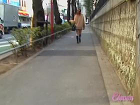 Elegant Japanese brunette is having sharking affair with some kinky chap