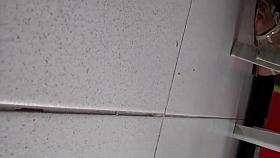 bajo de falda nena 18