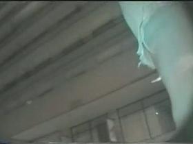 Chubby no-panties up skirt video from a street