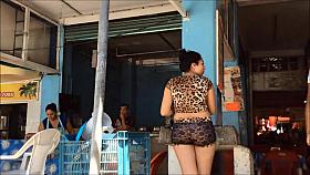 tiger and upskirt other day