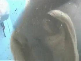 Best Amateur, Beach, Voyeur Scene