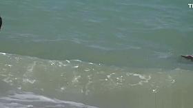 Natural tits and pussies in this beach spy video