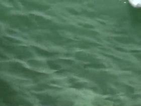 Difficult to decide which one is better