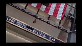 Big bouncing boobs big tits phat asses phat booty Windyvideo