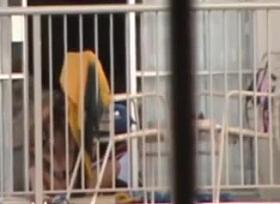 Flash and flashback 2