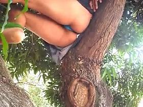 calzones en el arbol