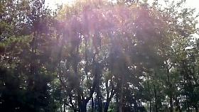 Mature nudist voyeur video with big naked chicks