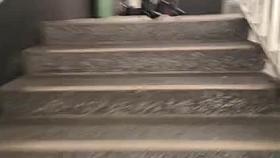 karnevall seamed nylons