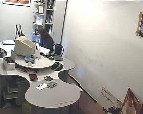 Hidden office swallowing