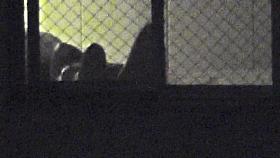 Window Voyeur 60 of 1000