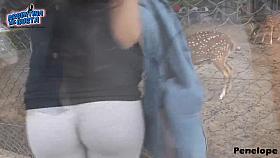 Round Ass Teen Flashing. Cameltoe, Thong, Ass.