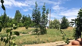 Flash Park Passion 2015