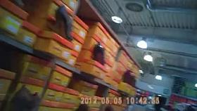 Entangada en la zapateria