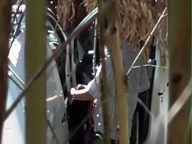 Business man spied with a prostitute