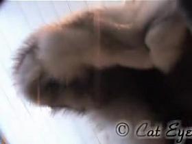 My hidden up skirt camera working for pantyhose cutie