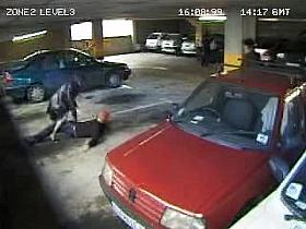 my car is nor a treesome...