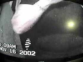 hidden cam, spycam, spying, voyuer, tits, teen