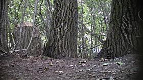 Girl thought she found a place to ### unnoticed