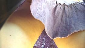 Porno long haired brunette in a large purple dress standing by a bus stop