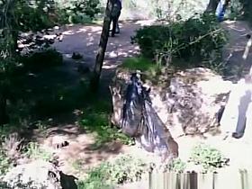 Girl spied in the nature taking a piss