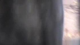 See though teen leggings