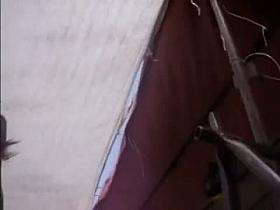 Amateur upskirt video of asses on the flee market